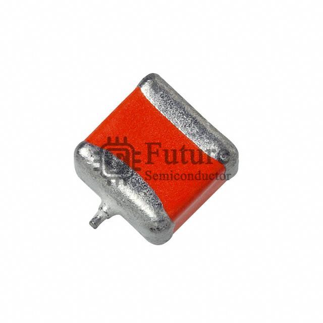 595D107X06R3C2T Image