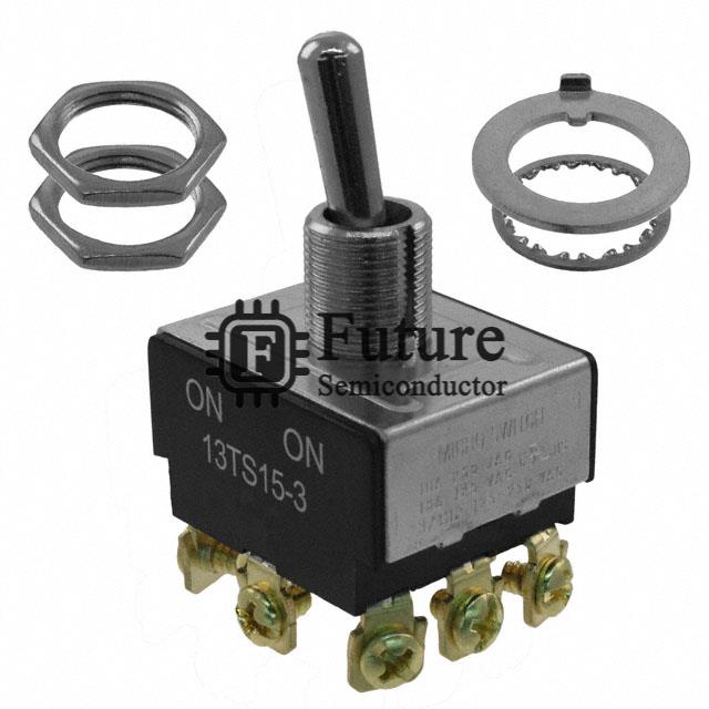 13TS15-3 Image