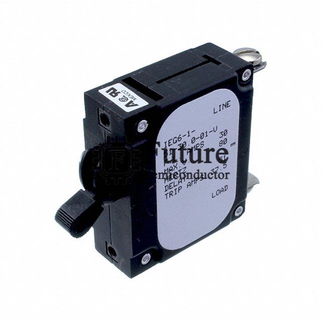 IEG6-1-51-30.0-01-V Image