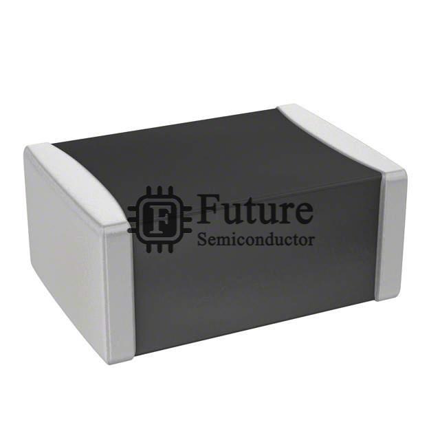 GR443QR73D102KW01L Image