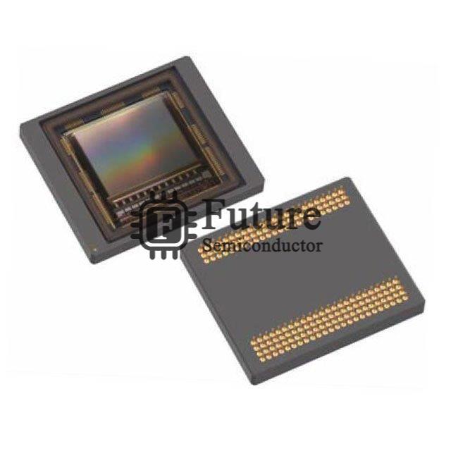 NOIL2SC1300A-GDC Image