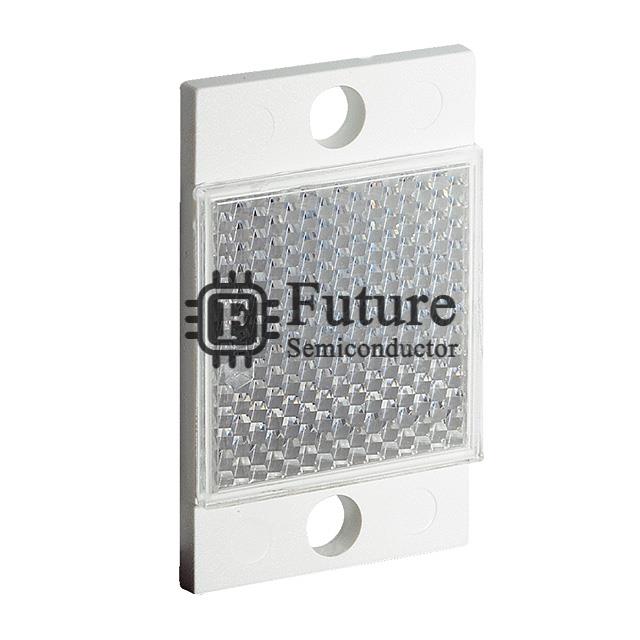 PL10F Image
