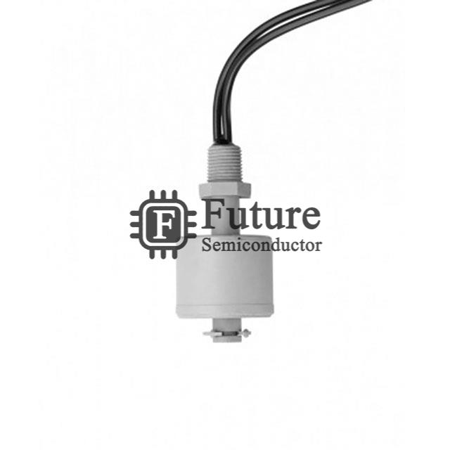 RSF57H100G1/8 Image