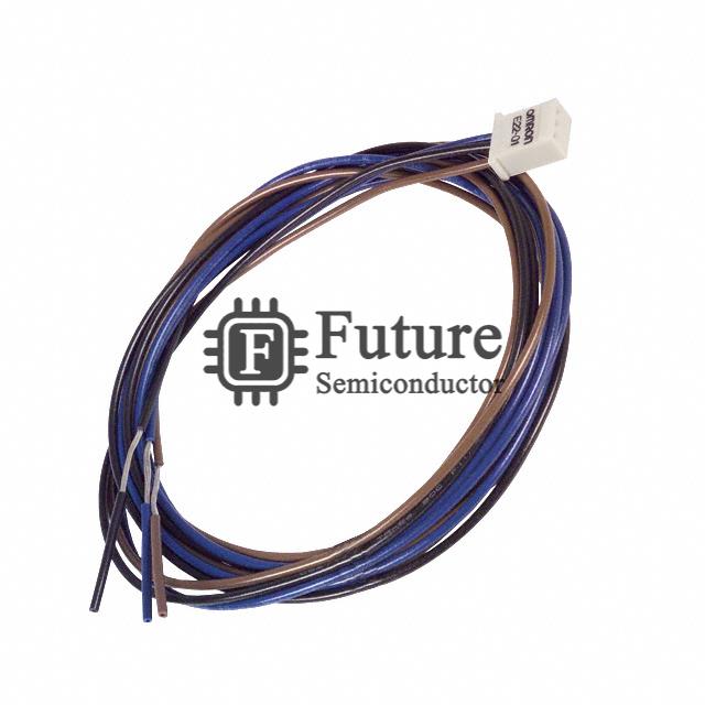 E22-01 Image