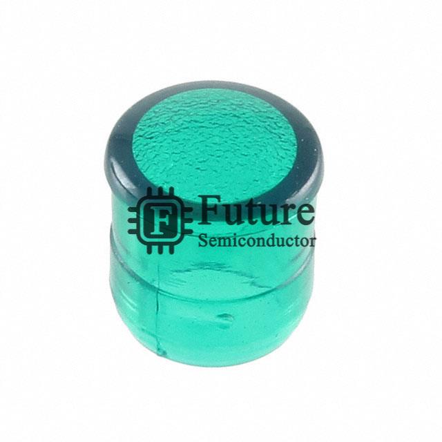 CMC_313_GTP Image
