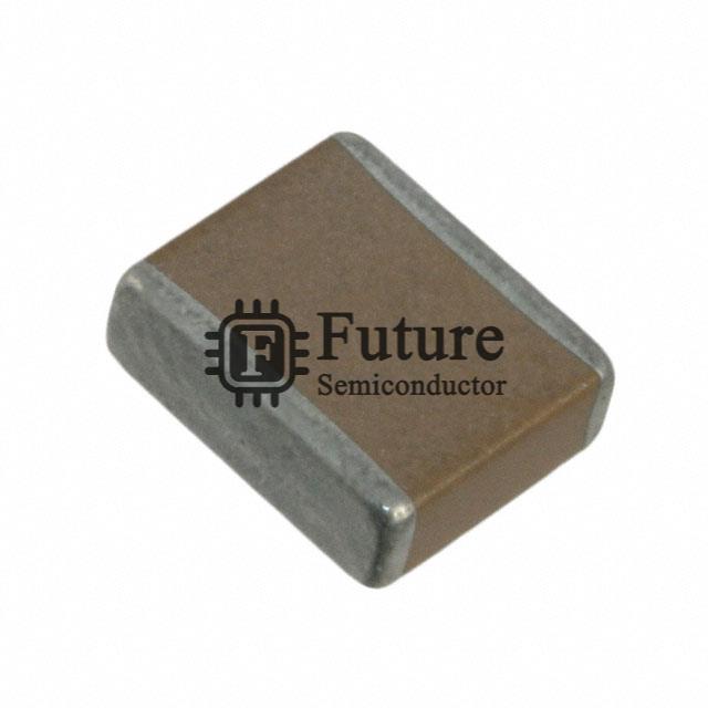202S48W103KV4E Image