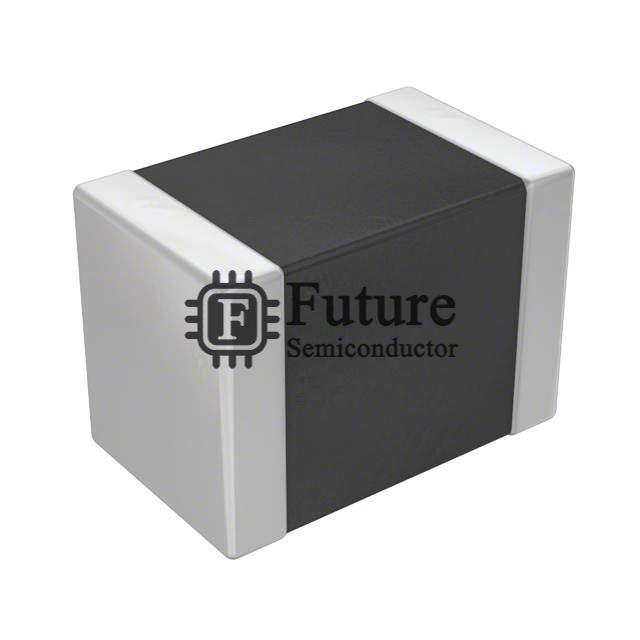 B72510T0300K062 Image