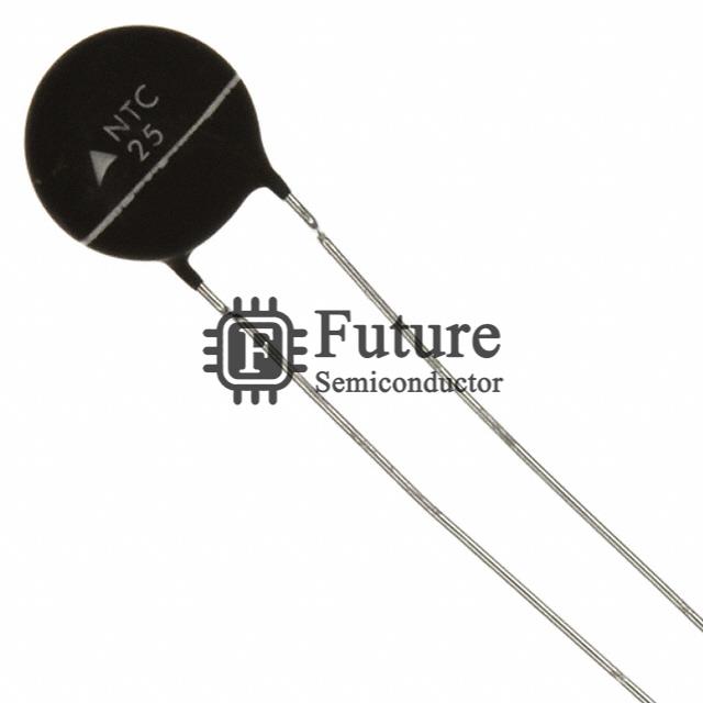 B57236S0250M000 Image