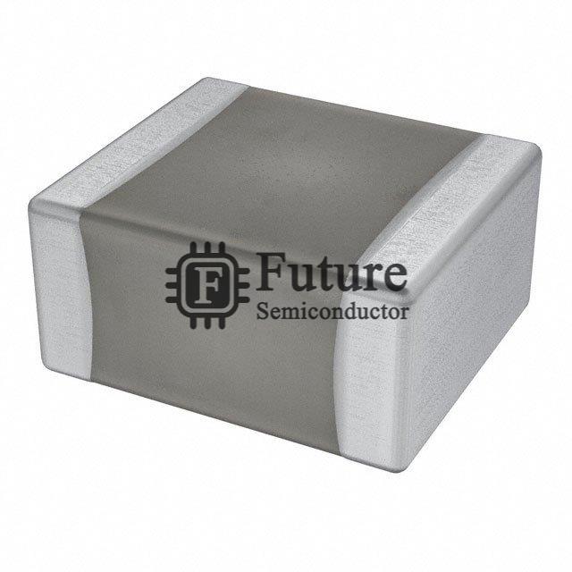 KVF101L105M55NLT00 Image