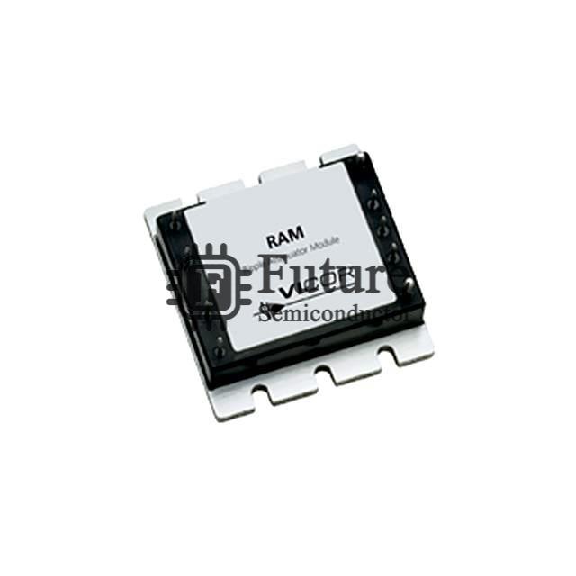 VI-RAM-I1 Image