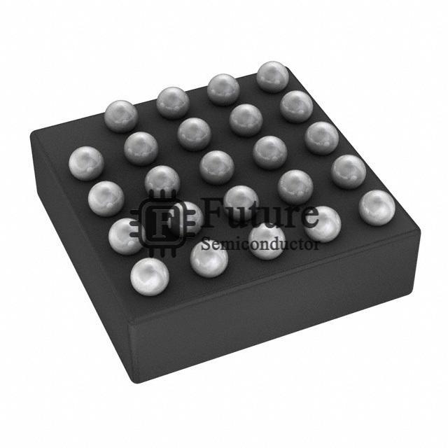 MSP430FR5738IYQDR Image