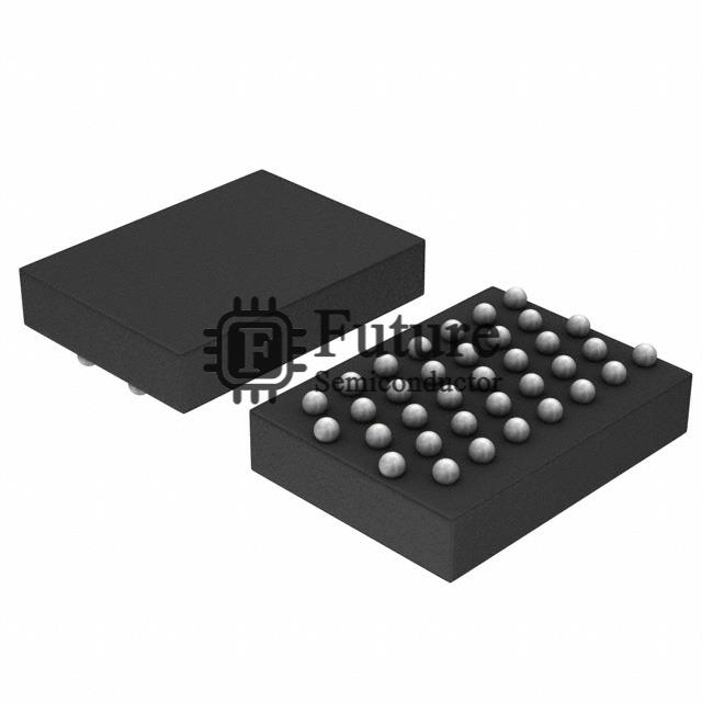 B300W35A102XYG Image