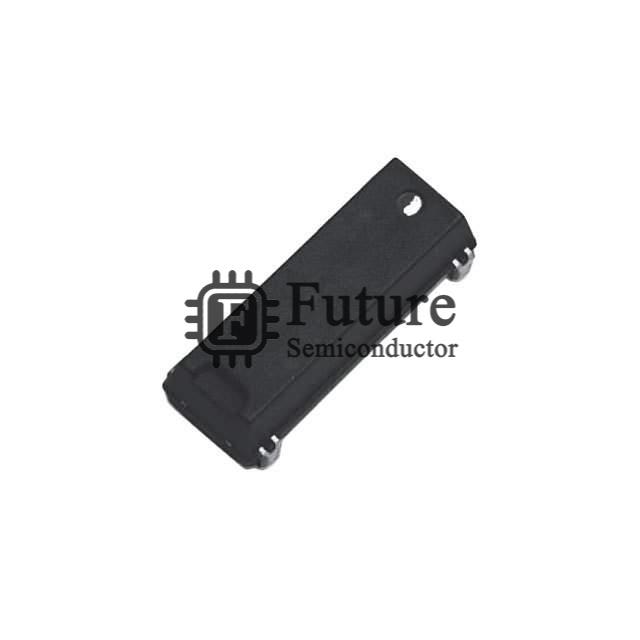 CM309E8000000BQIT Image