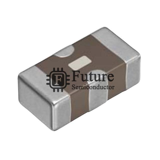 MEM1005PP251T001 Image