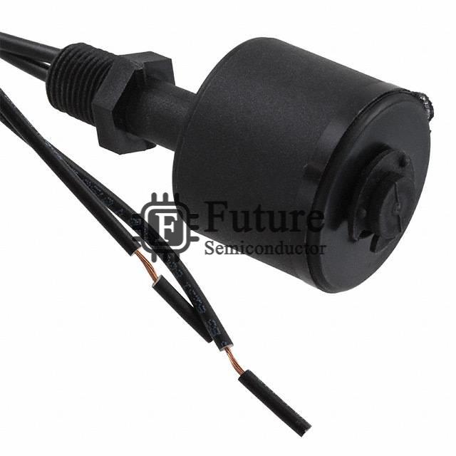 RSF53H100R1/8 Image