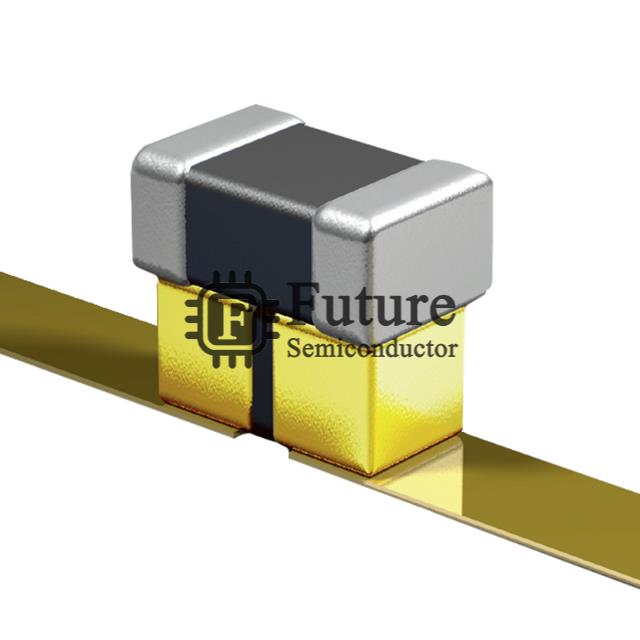 P21BN300MA3976T Image