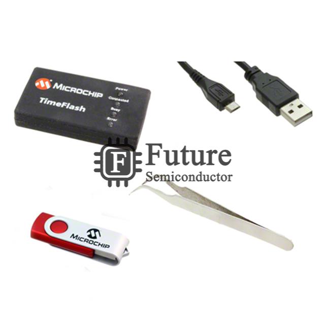 DSC-TIMEFLASH Image