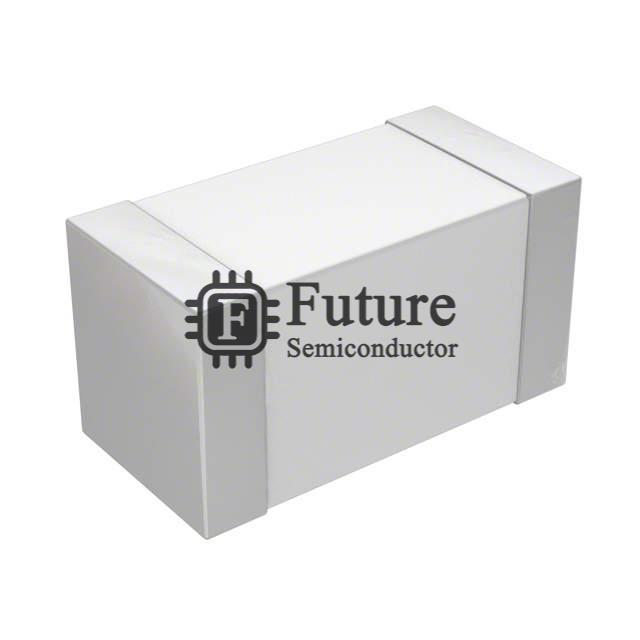 B72520E1250K062 Image