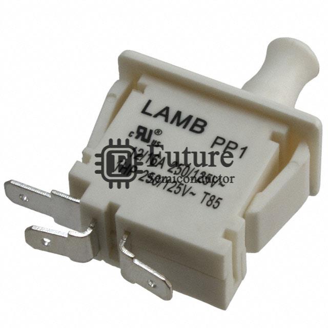 PP1-DT7-2B2 Image