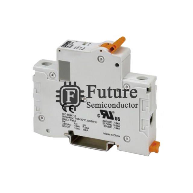 1019989 Image