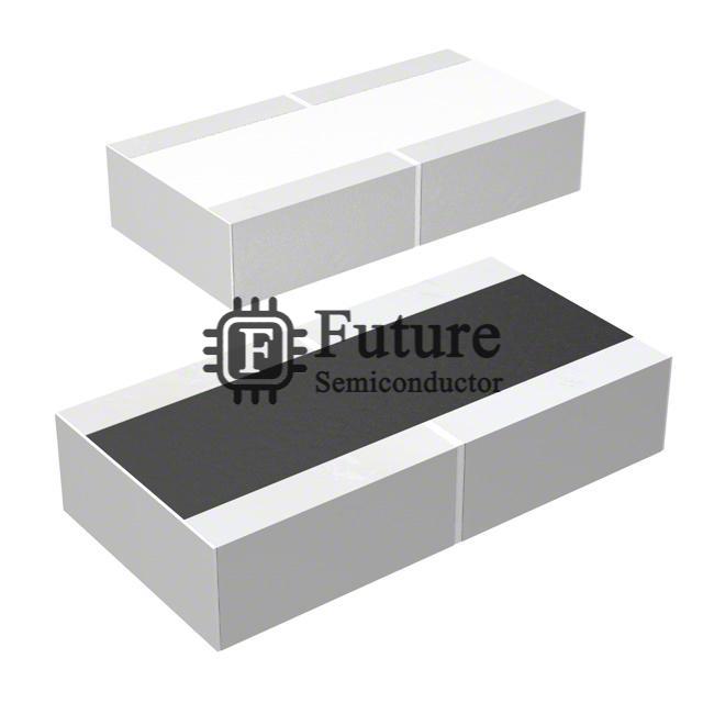 ERJ-B2CFR036V Image