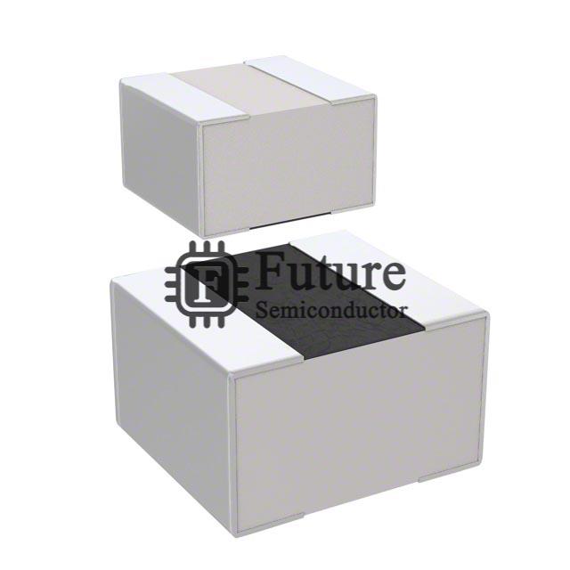 M55342K02B96B5RWS Image